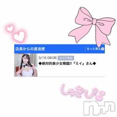 新潟ソープ新潟バニーコレクション(ニイガタバニーコレクション) ミイ(20)の3月16日写メブログ「店長からの💞🥹💖️」