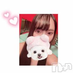 新潟ソープ新潟バニーコレクション(ニイガタバニーコレクション) ミイ(20)の11月29日写メブログ「急遽🤍」