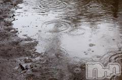 新潟ソープ新潟バニーコレクション(ニイガタバニーコレクション) ミイ(20)の3月14日写メブログ「本当に申し訳ありません」