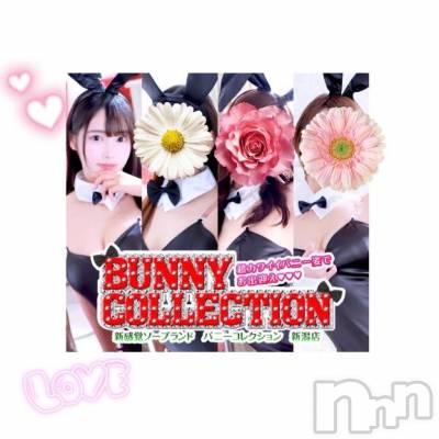 新潟ソープ 新潟バニーコレクション(ニイガタバニーコレクション) ミイ(20)の3月20日写メブログ「ミイちゃん発見(☆∀☆)」