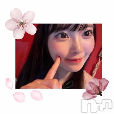 新潟ソープ 新潟バニーコレクション(ニイガタバニーコレクション) ミイ(20)の4月13日写メブログ「あちこち旅をしてまわっても、自分から逃げることはできない。(ヘミングウェイ)」