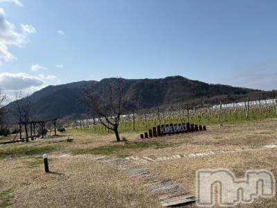 新潟ソープ 新潟バニーコレクション(ニイガタバニーコレクション) ミイ(20)の3月1日写メブログ「🍷✨」