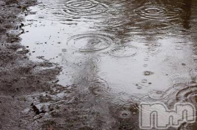 新潟ソープ 新潟バニーコレクション(ニイガタバニーコレクション) ミイ(20)の3月14日写メブログ「本当に申し訳ありません」