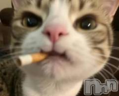 長岡デリヘル純・無垢(ジュンムク) なつき☆プラチナ(18)の10月9日写メブログ「お礼💌」