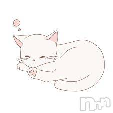 長岡デリヘル 純・無垢(ジュンムク) なつき☆プラチナ(18)の7月1日写メブログ「🐾ねむねむにゃんこな気分🐾」