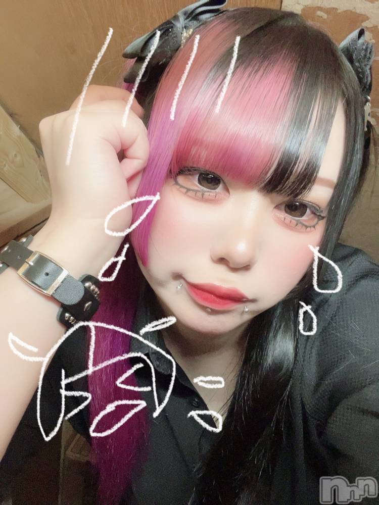 ʥå륺С륺åޤʤߤ(륺åޥʥߥ) ͤ57̥֥GW🎏