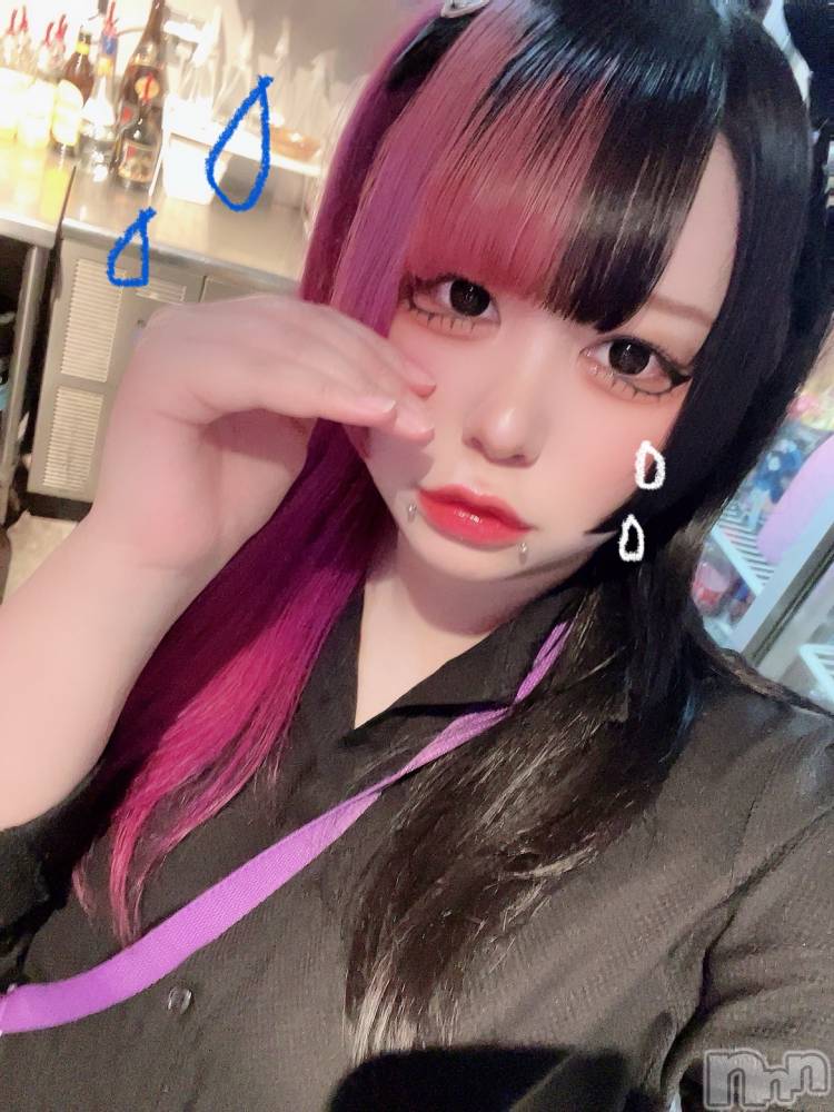 ʥå륺С륺åޤʤߤ(륺åޥʥߥ) ͤ510̥֥֥ɥ礷礲