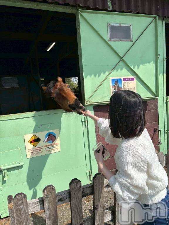 上越デリヘルRICHARD（リシャール）(リシャール) 奏多のの(22)の4月24日写メブログ「絶対的に癒しスポットはココです」