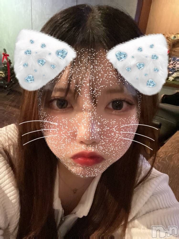 ʥå륺СVeronica-˥-(˥) 46̥֥֤ʢ