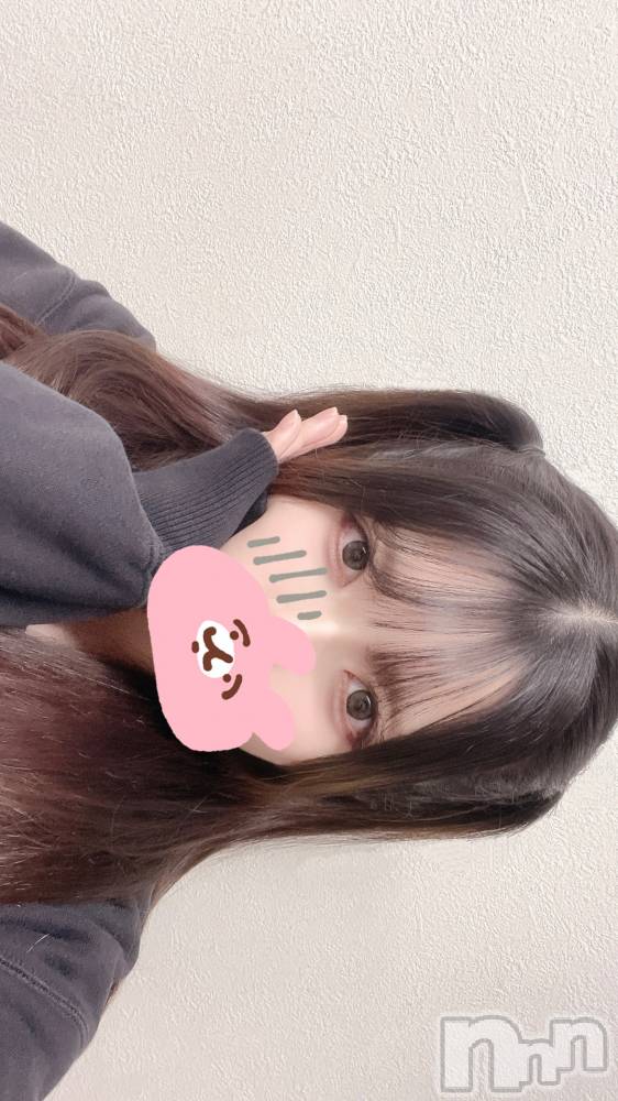ʥå륺СVeronica-˥-(˥) 531̥֥֤ˤ