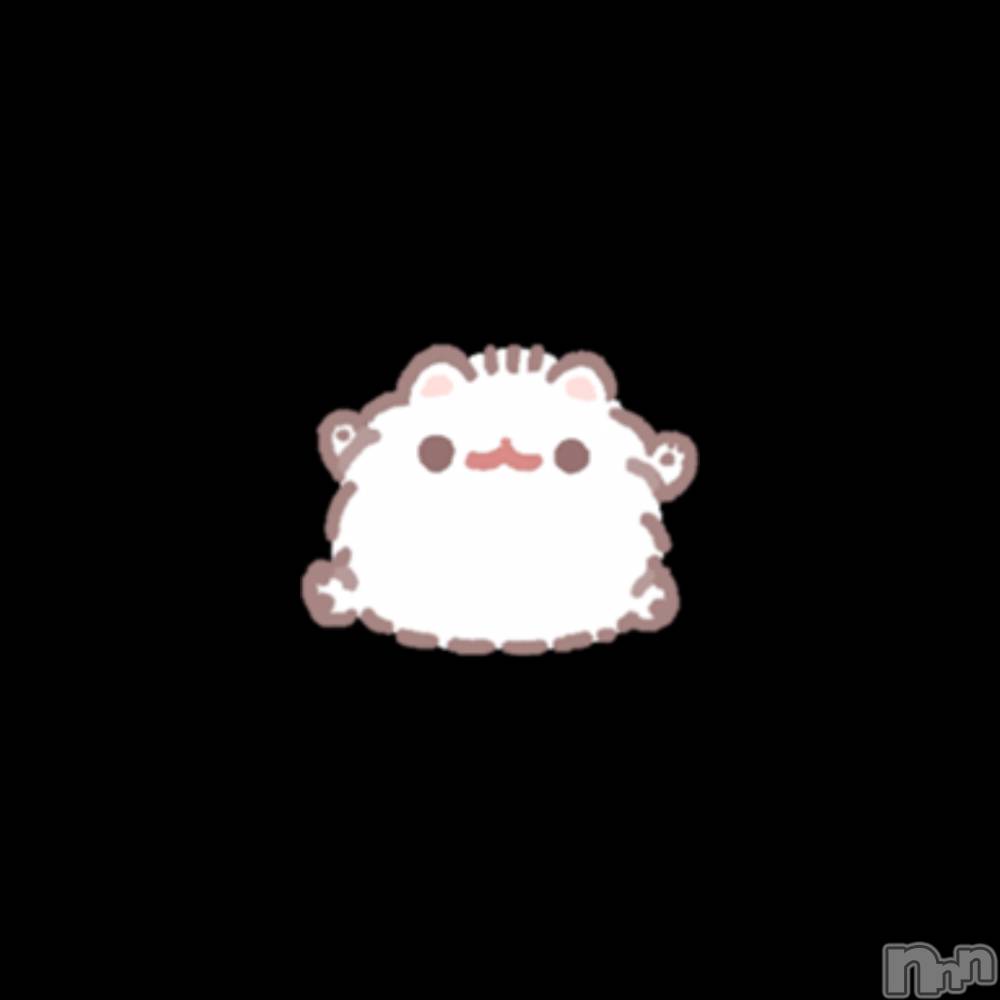 ʥå륺СVeronica-˥-(˥) 730̥֥֤Ӥ