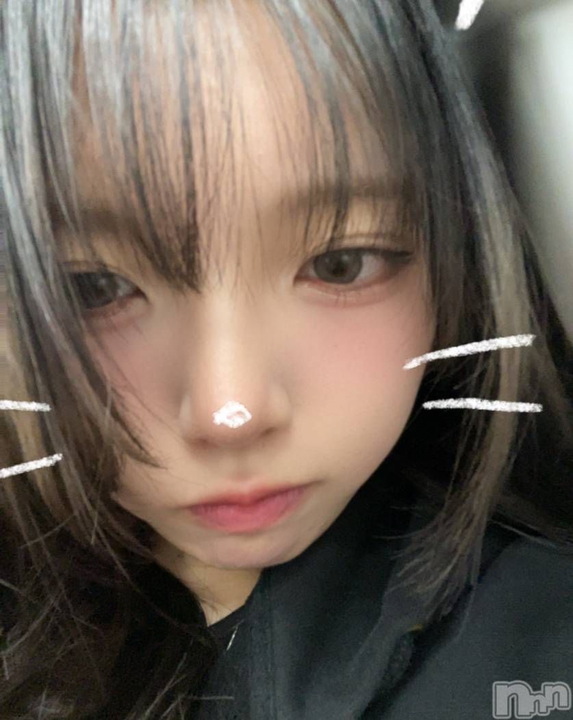 ʥå륺СVeronica-˥-(˥) 2025ǯ514̥֥֤Ф