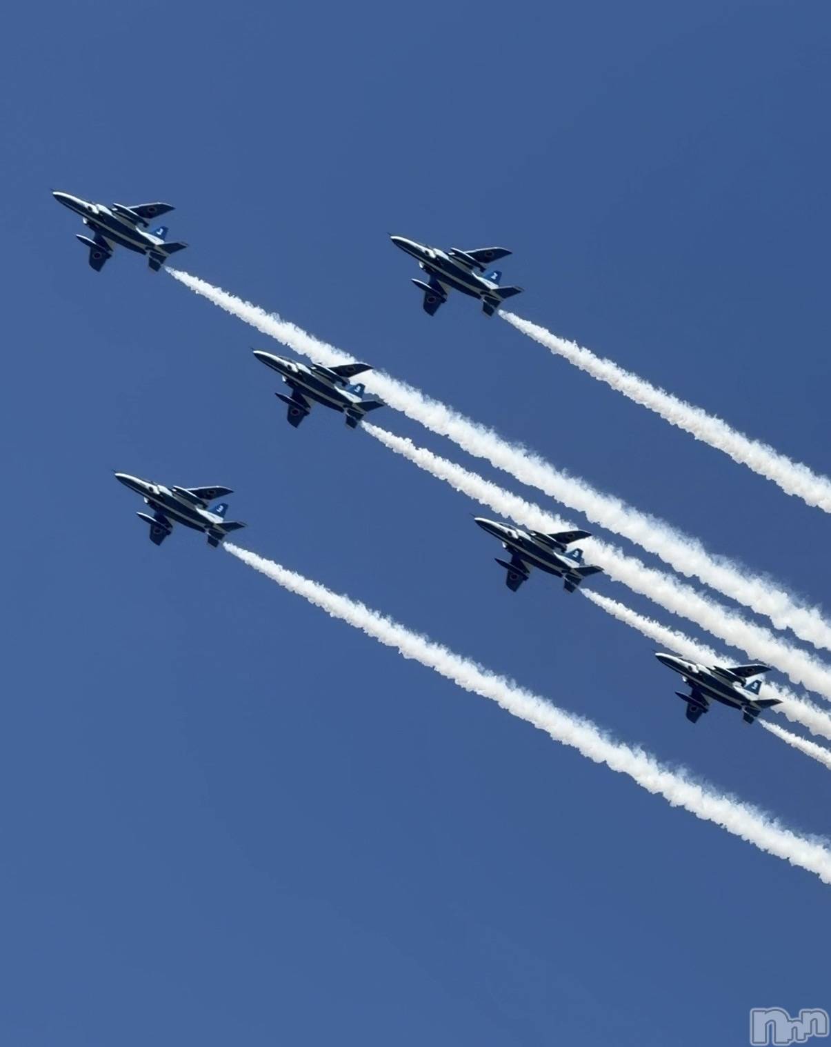 ����������ʥå��������륺�С�Veronica-�������˥�-(�������˥�) ��2026ǯ4��21���̥�֥�����✈️🩵��