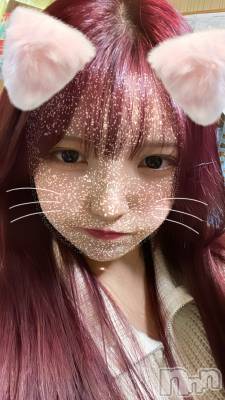 ʥå륺СVeronica-˥-(˥) 412̥֥🍓