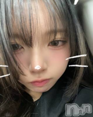 (ҥߥ) Ĺ157cmʥå륺С Veronica-˥-(˥)ҡ