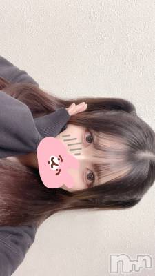 ʥå륺СVeronica-˥-(˥) 531̥֥֤ˤ