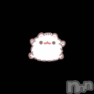 ʥå륺СVeronica-˥-(˥) 730̥֥֤Ӥ