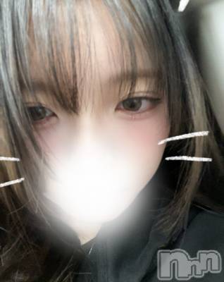 (ҥߥ) Ĺ157cmʥå륺С Veronica-˥-(˥)ҡ