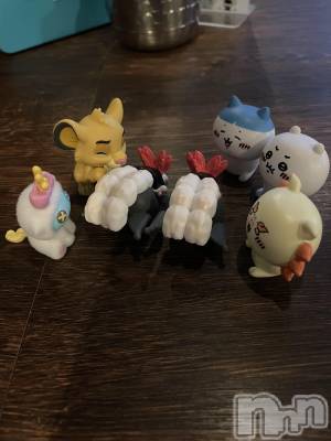 ʥå륺СVeronica-˥-(˥) 1029̥֥❓