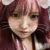 ʥå륺С Veronica-˥-(˥) β(2)