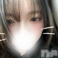 ����������ʥå��������륺�С� Veronica-�������˥�-(�������˥�) ���β���(2����)