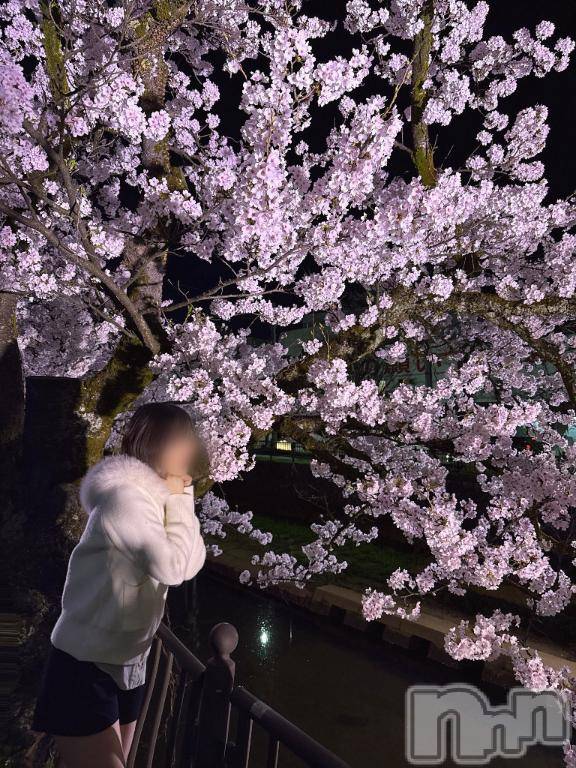 長岡デリヘルROOKIE(ルーキー) りぜ☆プラチナ(24)の4月8日写メブログ「夜桜🌸」