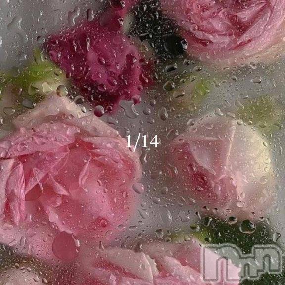 長岡デリヘルROOKIE(ルーキー)りぜ☆プラチナ(24)の2026年1月23日写メブログ「💌14日💌」