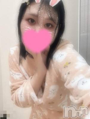 新潟デリヘル 奥様特急 新潟店(オクサマトッキュウニイガタテン) しんき(26)の3月25日写メブログ「今日も無事🐩⸒⸒💤」
