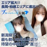 長岡デリヘル BLUE BIRD長岡店(ブルーバードナガオカテン)の4月19日お店速報「新潟県で最も勢いのあるお店がついにエリア拡大!!」