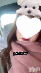 新潟人妻デリヘル新潟人妻　2nd Wife(セカンドワイフ) 体験。いちか奥様(27)の3月22日動画「本日も( *´꒳`* )」
