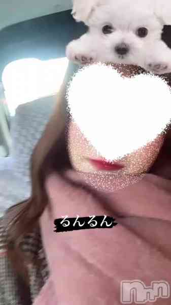 体験。いちか奥様の動画 本日も( *´꒳`* )