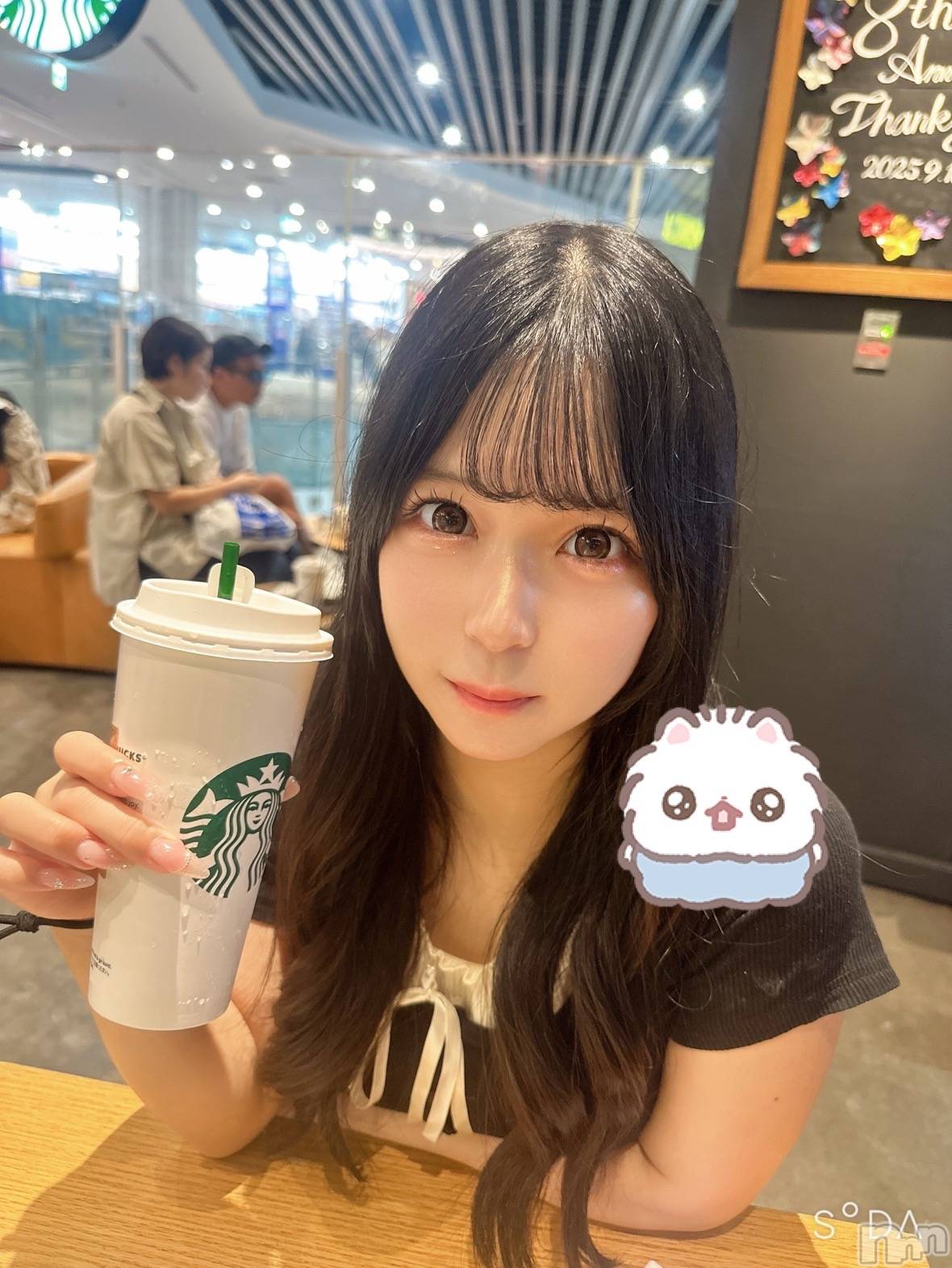 ܱХ顦֥ ץ ( ץ ޥĥ) 2025ǯ98̥֥֤䤹🩷🩷🐰🎀💗