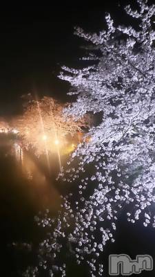 ܱХ顦֥ ץ ( ץ ޥĥ) ʤ414̥֥🌸♡