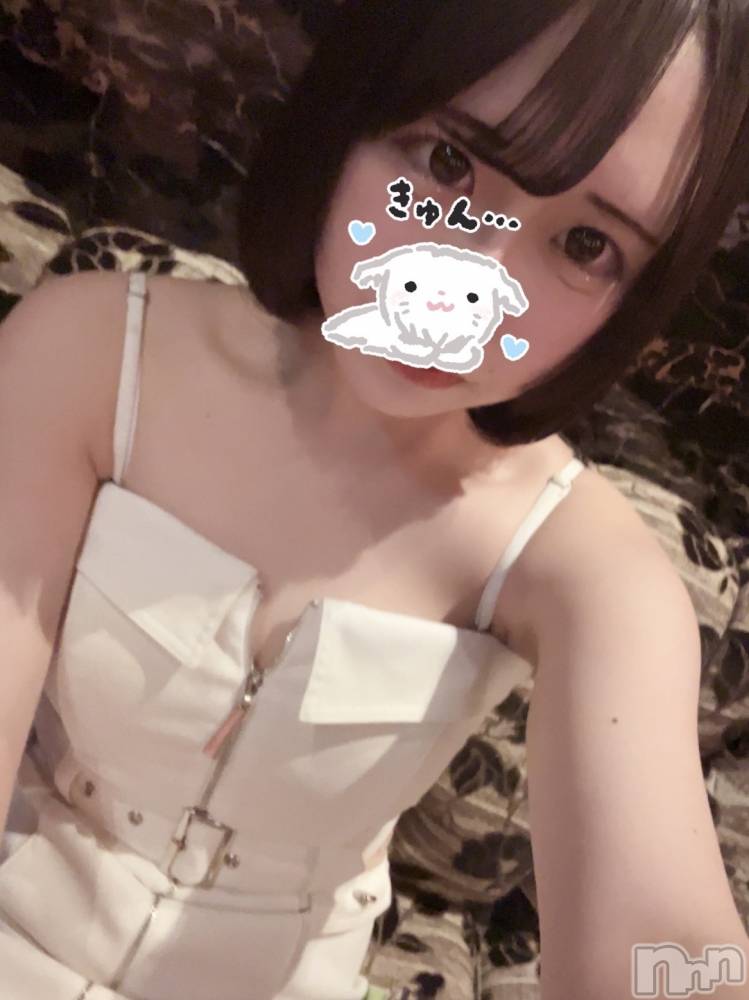 ƲХ顦JARDIN CLUB(󥯥) Ԥ328̥֥֎Ǝ-( ฅ••)( ••ฅ)Ǝ