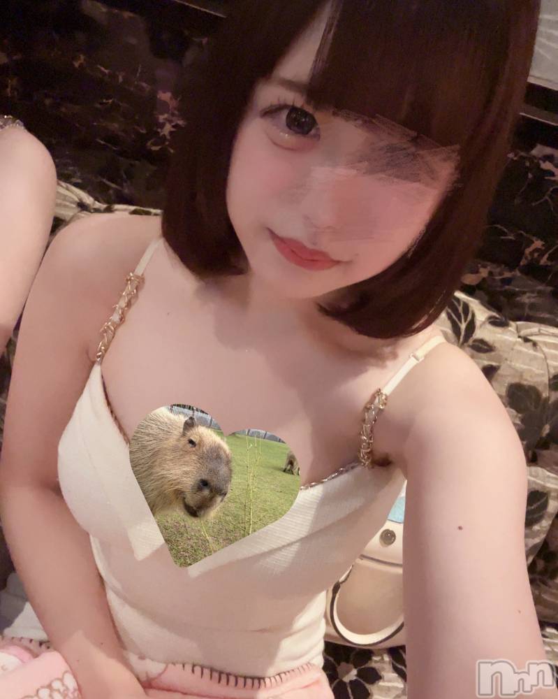 ƲХ顦JARDIN CLUB(󥯥) Ԥ530̥֥:(;^꒳^;  ):