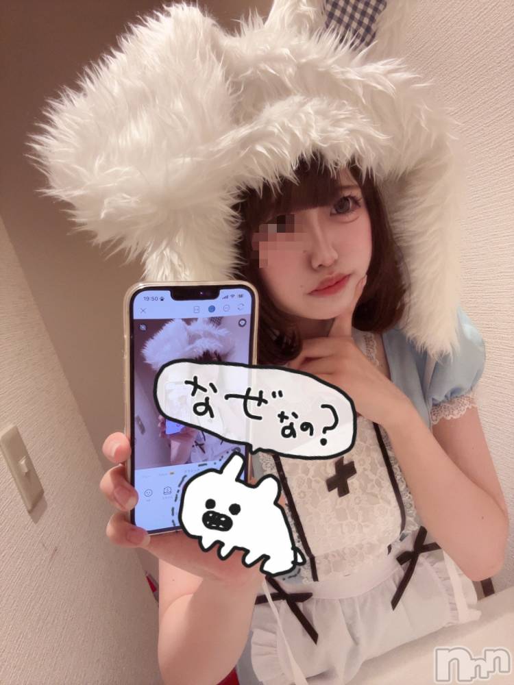 ƲХ顦JARDIN CLUB(󥯥) Ԥ74̥֥ჱ̒՞ ̳ᴗ ̫ ᴗ ̳՞꒱