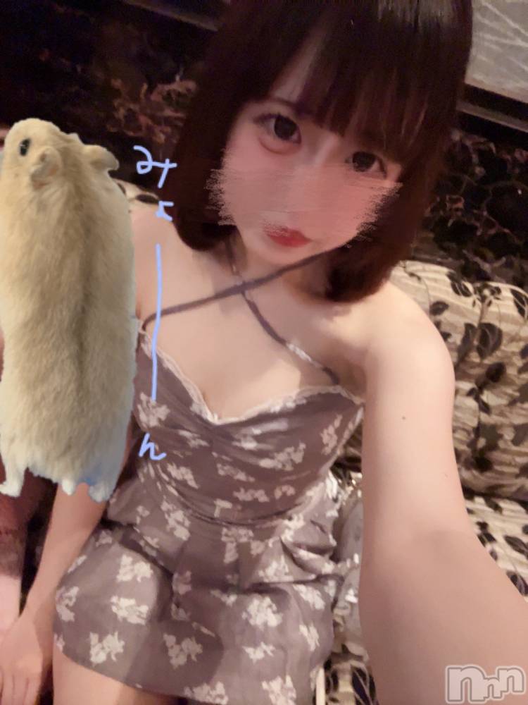 ƲХ顦JARDIN CLUB(󥯥) Ԥ76̥֥(՞`꒳՞)