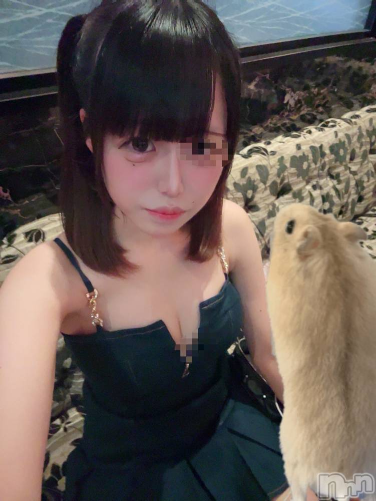 ƲХ顦JARDIN CLUB(󥯥) Ԥ103̥֥ᴖ ̫ᴖ ✊🏻