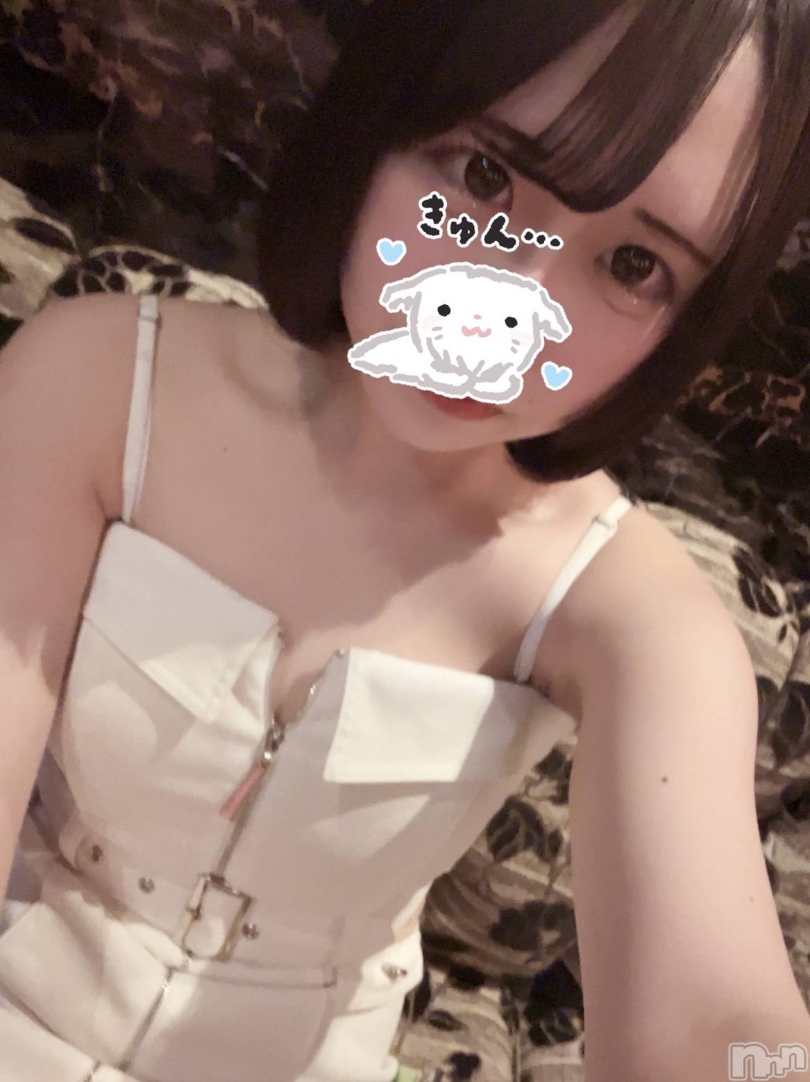 ƲХ顦JARDIN CLUB(󥯥) 2025ǯ328̥֥֎Ǝ-( ฅ••)( ••ฅ)Ǝ