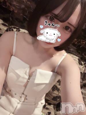 ƲХ顦JARDIN CLUB(󥯥) Ԥ328̥֥֎Ǝ-( ฅ••)( ••ฅ)Ǝ