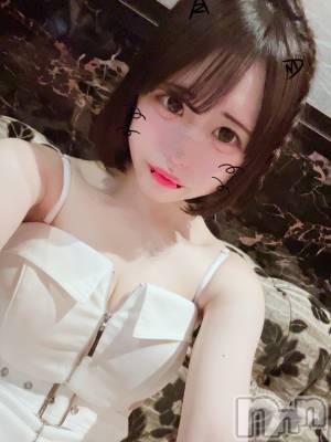 ƲХ顦JARDIN CLUB(󥯥) Ԥ331̥֥֡^‎‎‎‎𓂂ꔷ  ꔷ𓂂^‎‎💕💕🐾