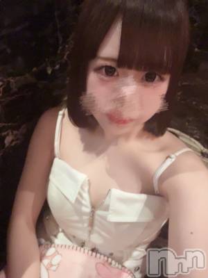 ƲХ顦JARDIN CLUB(󥯥) Ԥ513̥֥꒰  ᩚ⸝⸝•̥ · •̥⸝⸝  ᩚ꒱