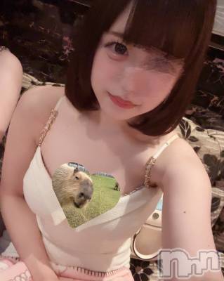 ƲХ顦JARDIN CLUB(󥯥) Ԥ530̥֥:(;^꒳^;  ):