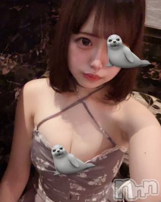 ƲХ顦JARDIN CLUB(󥯥) Ԥ615̥֥🦭