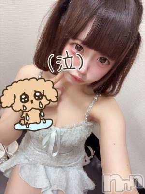 ƲХ顦JARDIN CLUB(󥯥) Ԥ71̥֥(  T  `)