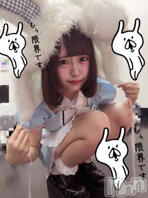 ƲХ顦JARDIN CLUB(󥯥) Ԥ75̥֥ჱ̒՞ ̳ᴗ ̫ ᴗ ̳՞꒱