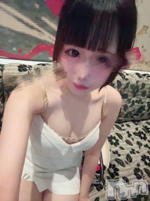 ƲХ顦JARDIN CLUB(󥯥) Ԥ812̥֥֎ގ( )))((( )Îݎ