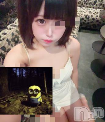 ƲХ顦JARDIN CLUB(󥯥) Ԥ813̥֥(ء)