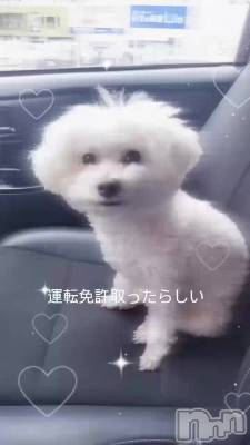 Ǥ󤦤