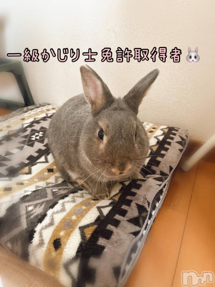 三条ぽっちゃり新潟三条燕ちゃんこ(ニイガタサンジョウツバメチャンコ) ゆかり(36)の9月18日写メブログ「こんにちは」